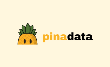 Consultation Pina Data